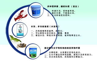 四月金磚水產(chǎn)盛會 先進養(yǎng)殖設備與技術齊聚廈門